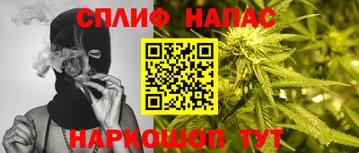 спиды Можга