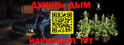 спиды Можга